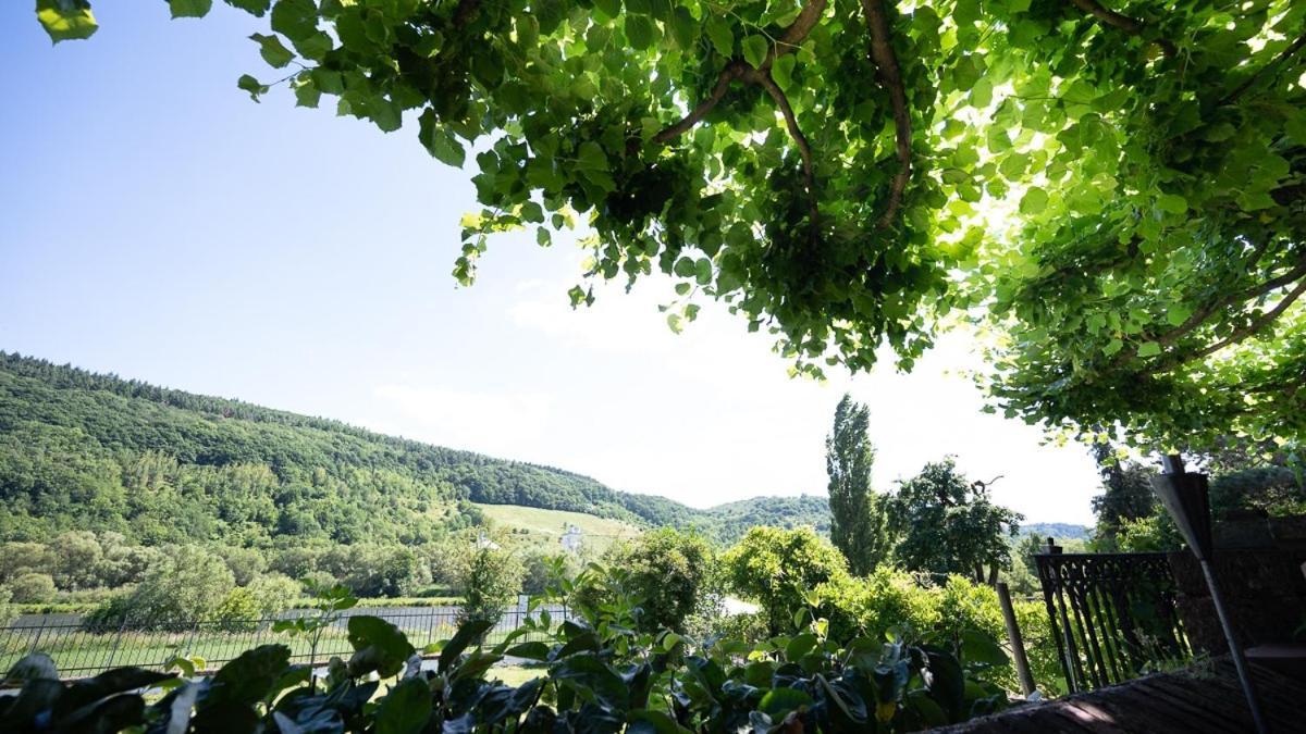 Hotel Boutiquehotel Kloster Pfalzel 3*